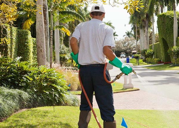 About Atlantic Highlands NJ Pest Control Pros